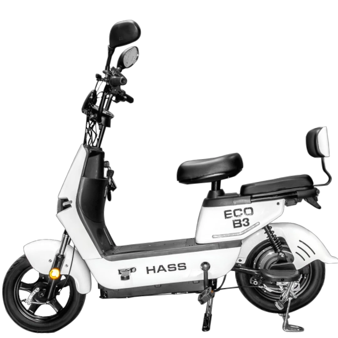 Hass Eco B3
